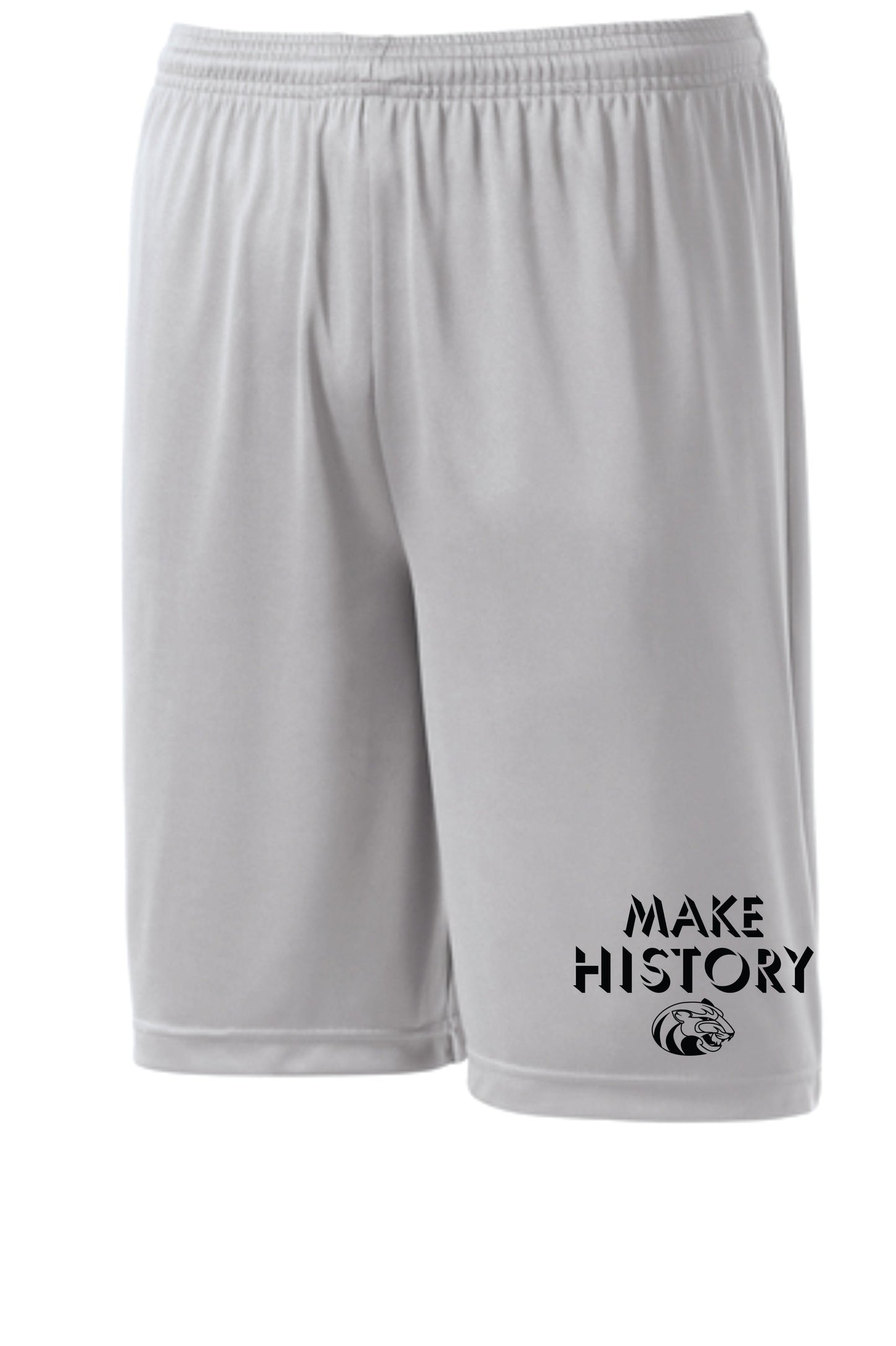 WCMS Make History logo
